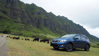 Illustration for article titled I'm Sad The XV Crosstrek Isn't Awesome.